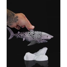 ENR3D Köpek Balığı 3D Figür Heryeri Hareket Ediyor