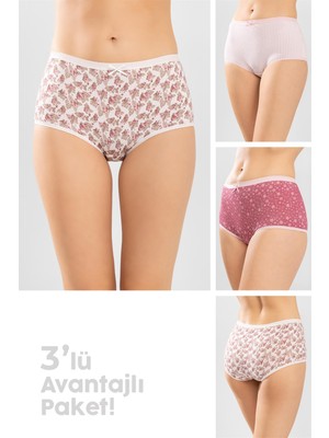 Baykar Kadın Yüksek Bel Pamuklu Desenli Bato Kadın Külot 3'lü 8276 Renkli