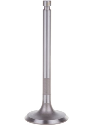 Palmera Supap Egzoz 192 1920211