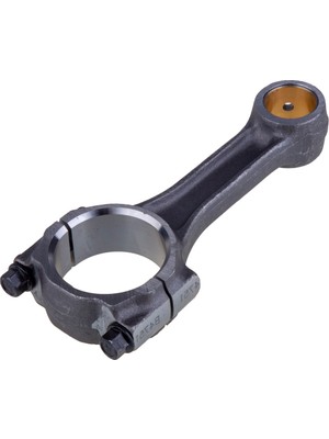 Palmera Biyel Kolu 192 PA1920305