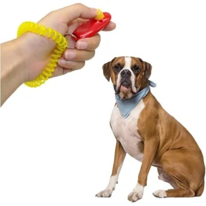 Köpek Eğitimi Clicker Tnabilir Clicker