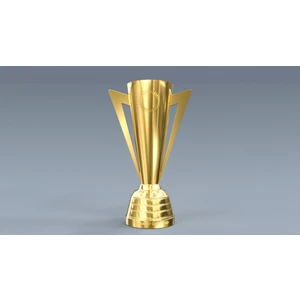 Gold Cup Altın Kupa 20 cm