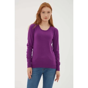 Fashion Friends Bisiklet Yaka Slim Fit Ince Triko Kazak Bayan Kazak 23K0779K1