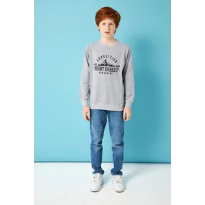 Expedition Baskılı Erkek Çocuk Sweatshirt Gri Melanj