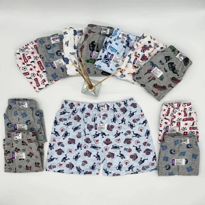 Sedef Yıldızı Empirme Çocuk 6 Adet Boxer 1037