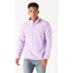 Altınyıldız Classics Erkek Lila Anti-Pilling Tüylenme Yapmayan Standart Fit Dik Yaka Polar Sweatshirt