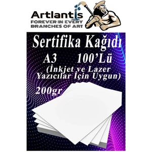 A3 Sertifika Kağıdı Kalın 100 Adet Gramajlı Fotokopi Kağıdı 200 gr Tüm Yazıcılara Uyumlu 29.7X42 cm Kalın Baskı Kağıdı
