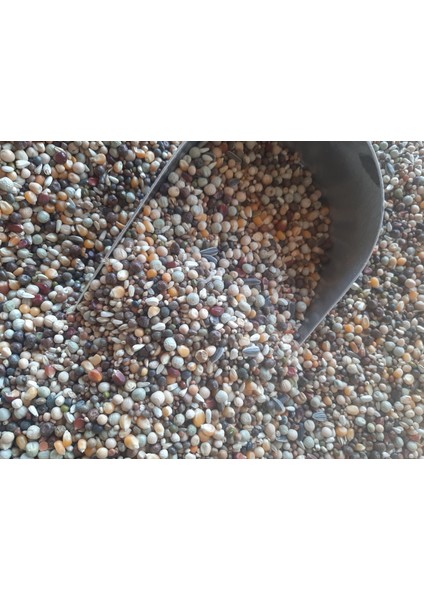 Bırdın Özel Ultra Lüx Guvercin Yemi (20KG) fiyatları
