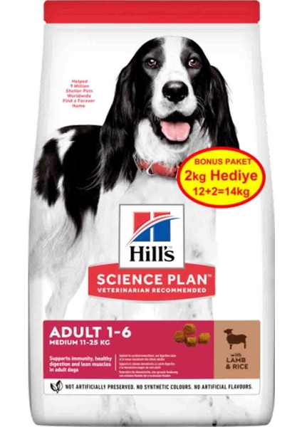 Hills Science Plan Kuzu Etli Orta Irk Yetişkin Köpek Maması 12 kg (+2 kg Hediyeli)