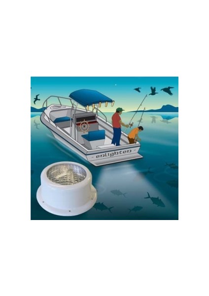 Marintek Arka Platform Aydınlatma Lambası Watertight 1.2m Kablo Boyu 12V 35W