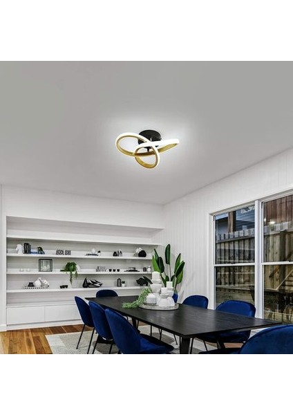 Modern LED Tavan Işığı, 22W Yuvarlak Geometri LED Tavan Işığı, 6000K Çap 24CM Koridor, Oturma Odası, Yatak Odası Için (Yurt Dışından) fiyatları