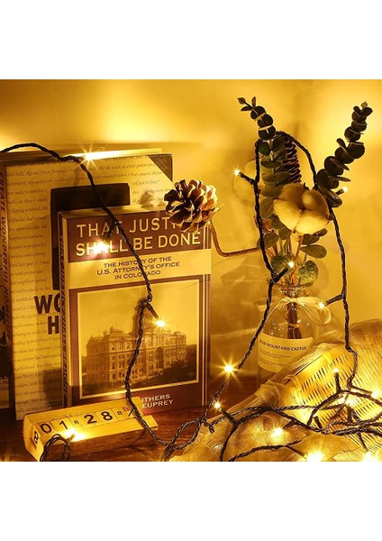 24M 200LEDS Dizi Işıklar, Uzaktan Kumandalı LED Halat Işık, Elektrikli, Iç Mekan/dış Mekan Için Su Geçirmez, Noel Işıkları, Parti, Kutlama Için Ideal (Yurt Dışından) modelleri