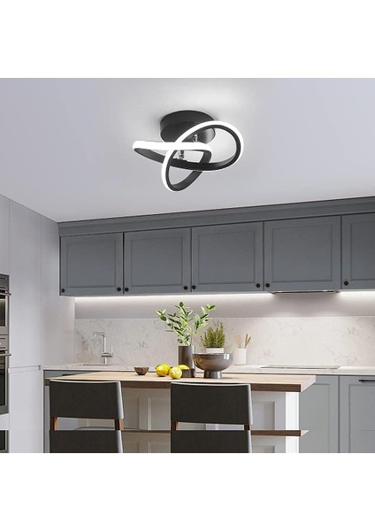 Modern LED Tavan Lambası, 22W Akrilik Avize, Oturma Odası Yatak Odası Için Çiçek Şekilli Tavan Lambası, Çap 24CM, 6000K Beyaz Işık (Yurt Dışından) fiyatları