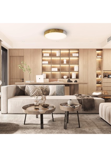 LED Tavan Işığı 24W, Nötr Beyaz 4500K LED Tavan Lambası 2400LM, Iç Aydınlatma LED Tavan Işığı Demir ve Meşe, Mutfak Oturma Odası Yatak Odası Ofis Için Beyaz Tavan Işığı (Yurt Dışından) fırsatları