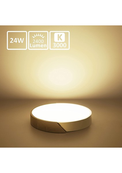 LED Tavan Işığı 24W, Sıcak Beyaz 3000K LED Tavan Lambası 2400LM, Iç Aydınlatma LED Tavan Işığı Demir ve Meşe, Mutfak Oturma Odası Yatak Odası Ofis Için Beyaz Tavan Işığı (Yurt Dışından) modelleri