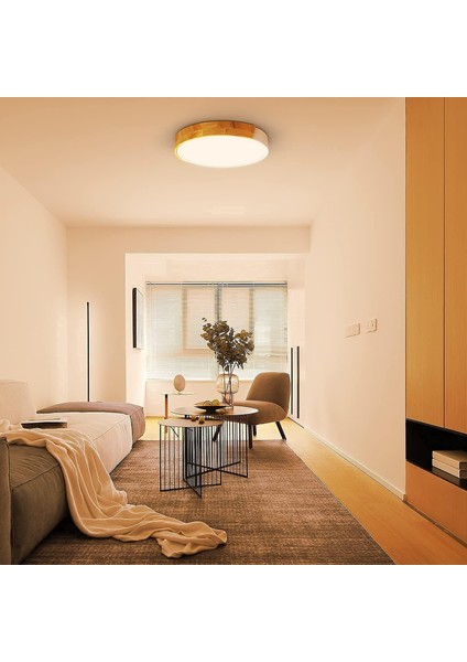 LED Tavan Işığı 24W, Sıcak Beyaz 3000K LED Tavan Lambası 2400LM, Iç Aydınlatma LED Tavan Işığı Demir ve Meşe, Mutfak Oturma Odası Yatak Odası Ofis Için Beyaz Tavan Işığı (Yurt Dışından) fırsatları