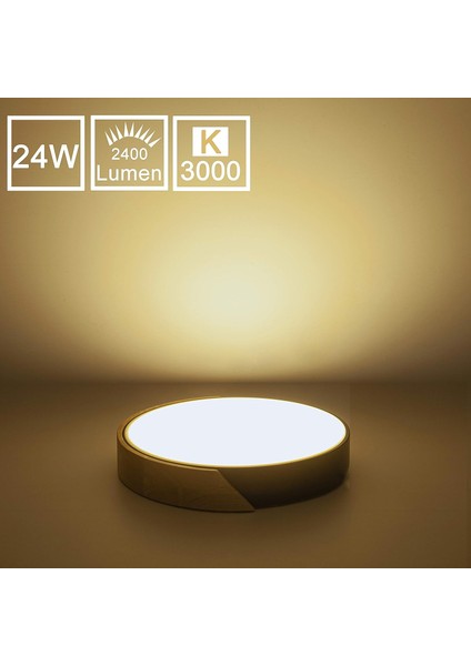 LED Tavan Lambası 24W 2400LM LED Modern Tavan Lambası Yuvarlak Sıcak Beyaz 3000K Ø30*5cm Yatak Odası, Mutfak, Oturma Odası, Balkon ve Koridor (Yurt Dışından) fiyatları