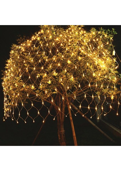 Vıngo 2*2m LED Dize Işıklar 204 Led'li Dize Işıklar Kontrol Kutusu ile Noel Ağ Örgüsü (Yurt Dışından) fiyatları