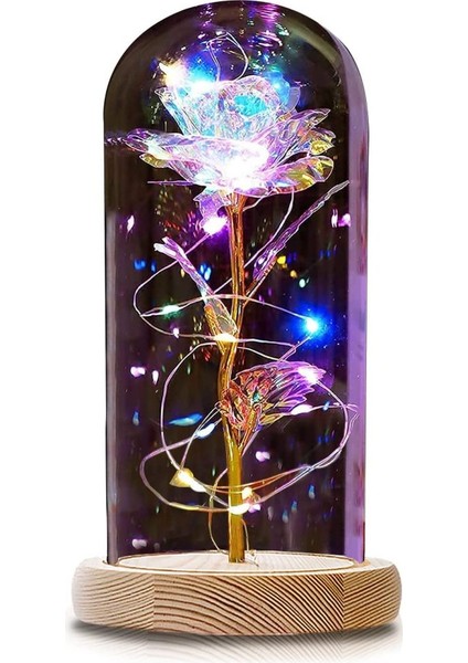 Kavanozda Ebedi Gül, Güzel ve Çirkin Cam Kubbede LED Işıklı Gül Yapay Çiçekler Gül, Doğum Günü Anne Kız Arkadaşı Noel Anneler Günü Için Hediyeler (Yurt Dışından)