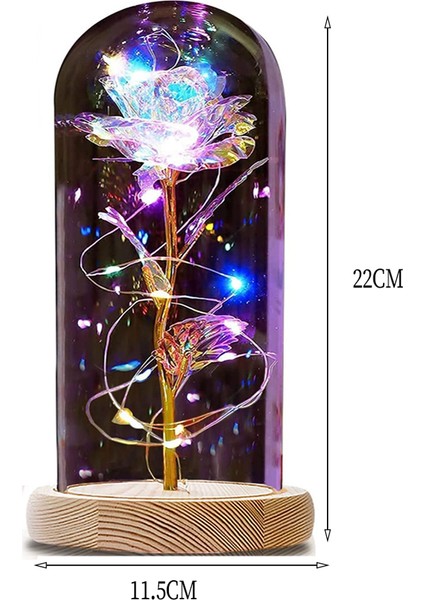 Kavanozda Ebedi Gül, Güzel ve Çirkin Cam Kubbede LED Işıklı Gül Yapay Çiçekler Gül, Doğum Günü Anne Kız Arkadaşı Noel Anneler Günü Için Hediyeler (Yurt Dışından) fiyatları