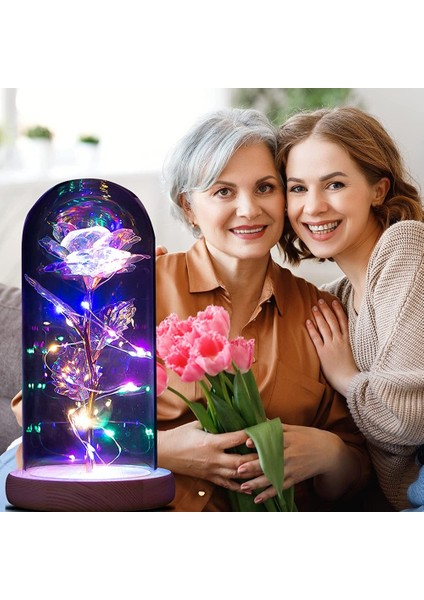 Kavanozda Ebedi Gül, Güzel ve Çirkin Cam Kubbede LED Işıklı Gül Yapay Çiçekler Gül, Doğum Günü Anne Kız Arkadaşı Noel Anneler Günü Için Hediyeler (Yurt Dışından) fırsatları