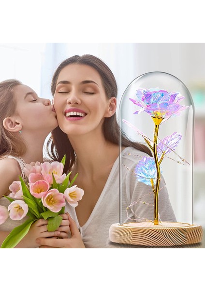 Kavanozda Ebedi Gül, Güzel ve Çirkin Cam Kubbede LED Işıklı Gül Yapay Çiçekler Gül, Doğum Günü Anne Kız Arkadaşı Noel Anneler Günü Için Hediyeler (Yurt Dışından) indirimleri