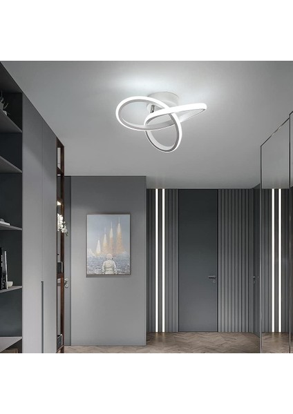 LED Tavan Işığı, 12W Akrilik Tavan Lambası, 3000K/4000K/6000K Mutfak Oturma Odası Yatak Odası Için Kısılabilir Tavan Işığı Dia 24CM (Yurt Dışından) modelleri