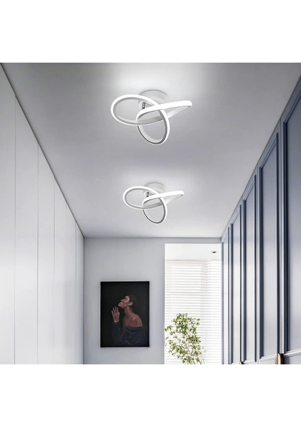 LED Tavan Işığı, 12W Akrilik Tavan Lambası, 3000K/4000K/6000K Mutfak Oturma Odası Yatak Odası Için Kısılabilir Tavan Işığı Dia 24CM (Yurt Dışından) fırsatları