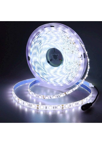 12V LED Şerit Soğuk Beyaz 6500K, 5 Metre Esnek 300 LED 5050 Smd IP65 Su Geçirmez LED Şerit (Yurt Dışından)