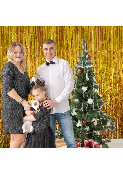 Şeffaf Beyaz Metal Folyo Püskül Perde, Stüdyo Arkadan Projeksiyon Flama Perdesi, Stüdyo Aksesuarları, Doğum Günü ve Yeni Yıl Süslemeleri (Yurt Dışından) fiyatları