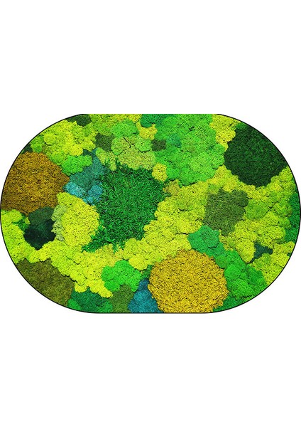 3D Görsel Yosun Zemin Matı Banyo Zemin Matı Banyo Zemin Matı (Yurt Dışından)