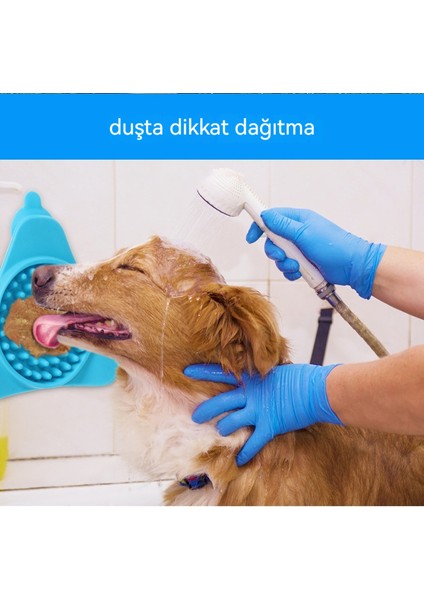 Yavaş Besleme Minderini Yalayan Köpek (Yurt Dışından)