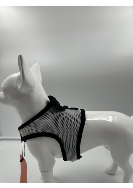 Kedi & Köpek Kıyafeti , Kedi & Köpek Göğüs Tasması , Fileli Kedi Köpek Tasması modelleri