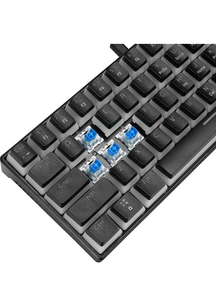 Radiant K11 Mekanik Klavye Type-C Bağlantı Siyah Rgb Puding Tuş Blue Switch Us Gaming Oyuncu Klavye