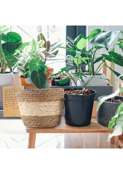 2 Adet El Yapımı Saman Depolama Sepeti Rattan Zemin Saksı Kapalı Açık Saksı Bitki Konteyner (Yurt Dışından) fiyatları