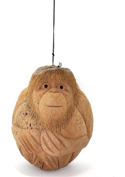 Coconat Maymun Büstü