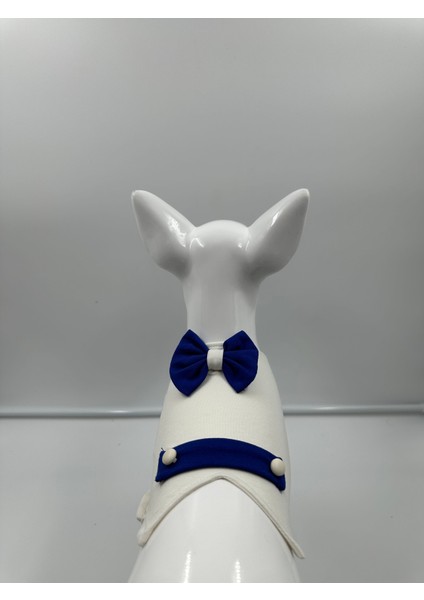 Köpek Beyaz Cepken, Köpek Cepken , Köpek Yelek fiyatları