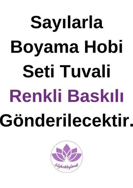 Renkli Baskılı Sayılarla Boyama Hobi Seti Çerçeveli 40 x 50 cm Çiçekli Yılan