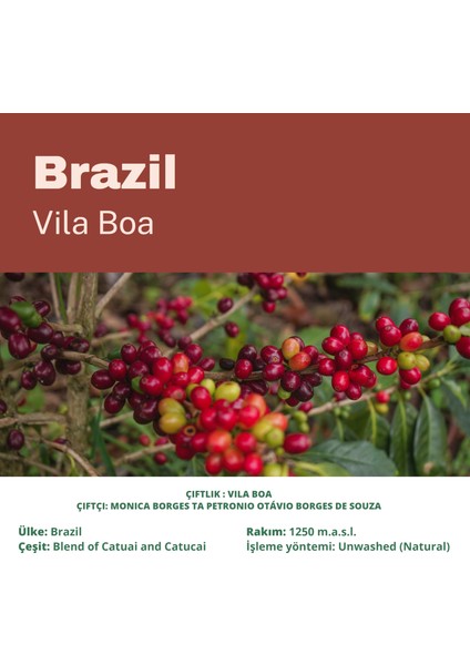 Pure Olentia Pureolentıa Brazıl Vila Boa Filtre Kahve 250 gr