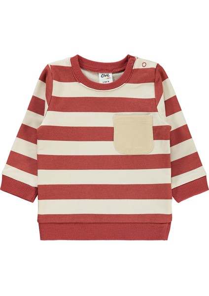 Erkek Bebek Sweatshirt 6-18 Ay Kiremit