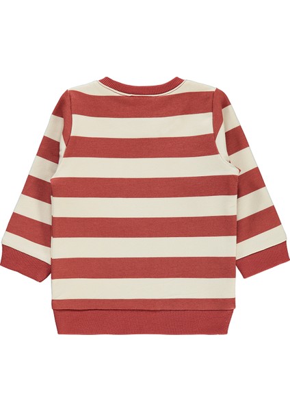 Erkek Bebek Sweatshirt 6-18 Ay Kiremit fiyatları