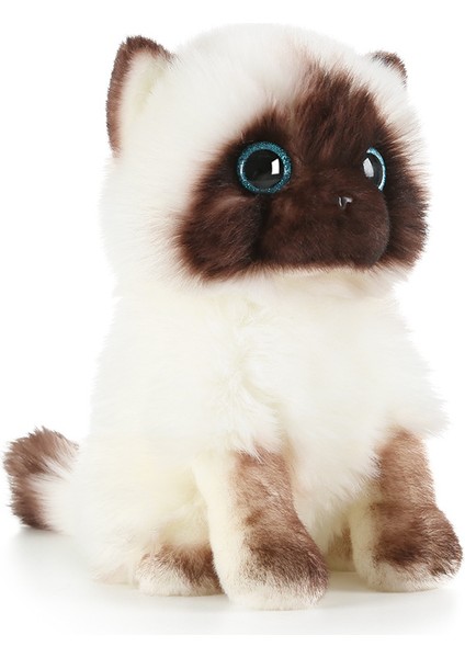 Siyam Kedisi Bebek Peluş Bebek Kedi Oyuncak Sevimli Kedi Bebek Sevimli Evcil Hayvan Ragdoll Kedi (Yurt Dışından)