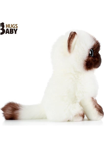 Siyam Kedisi Bebek Peluş Bebek Kedi Oyuncak Sevimli Kedi Bebek Sevimli Evcil Hayvan Ragdoll Kedi (Yurt Dışından)