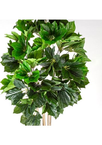Yapay Ağaç Lucky (Şans) Tree Gerçek Dokulu 50 Yaprak Yeşil 160 Cm. fiyatları