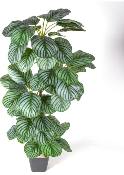 Yapay Ağaç Ararot-Arrowroot Gerçek Dokulu 64 Yaprak Yeşil 120 Cm.