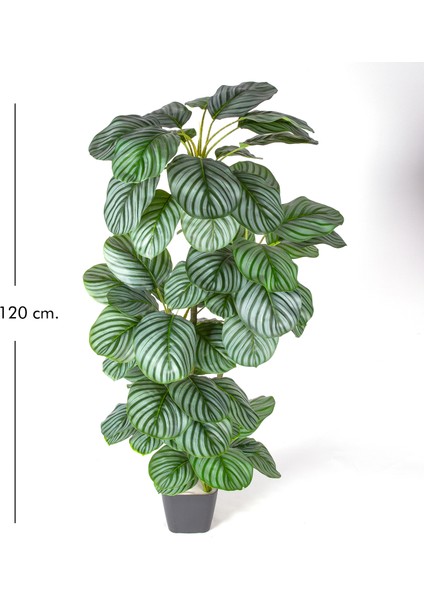 Yapay Ağaç Ararot-Arrowroot Gerçek Dokulu 64 Yaprak Yeşil 120 Cm. modelleri
