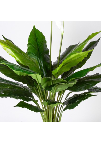Yapay Bitki Spathiphyllum-Yelken Çiçeği Gerçek Dokulu Yeşil-Beyaz 70 fiyatları