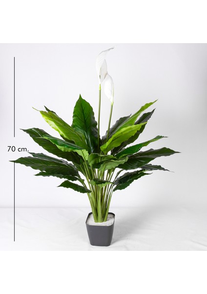 Yapay Bitki Spathiphyllum-Yelken Çiçeği Gerçek Dokulu Yeşil-Beyaz 70 modelleri