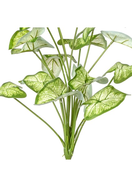 Yapay Bitki Syngonium-Melek Kanadı Gerçek Dokulu 18 Yaprak Yeşil-Beya fiyatları