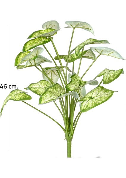 Yapay Bitki Syngonium-Melek Kanadı Gerçek Dokulu 18 Yaprak Yeşil-Beya indirimleri